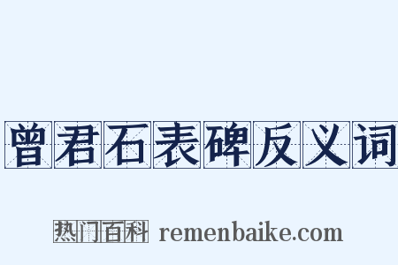 曾君石表碑反义词是什么意思的图片